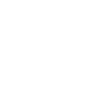 icône handicap